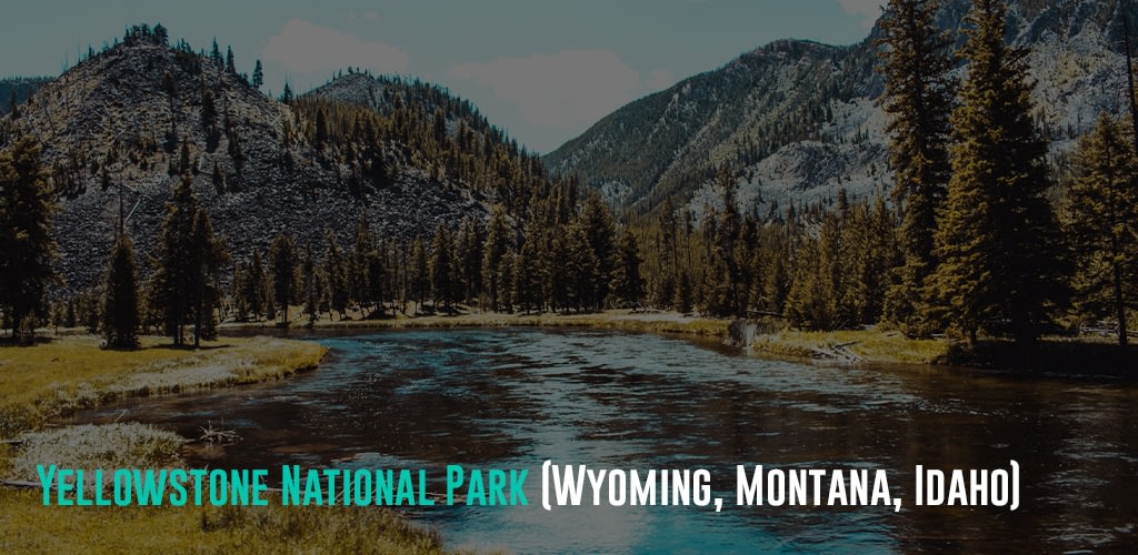 a river with pine trees around and on the mountain