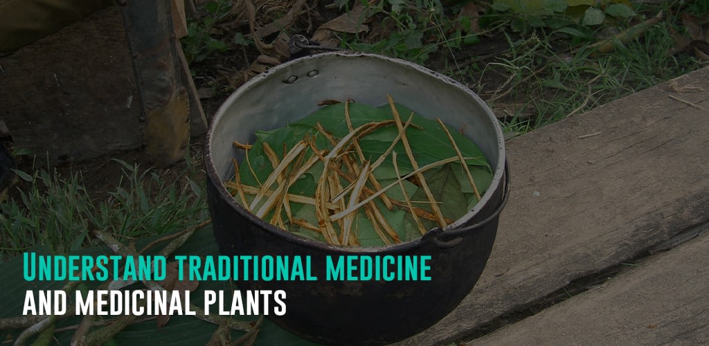 herbs in a pot