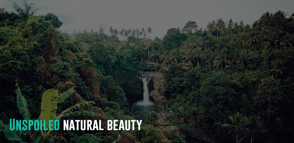 a waterfalls in the middle of a forest