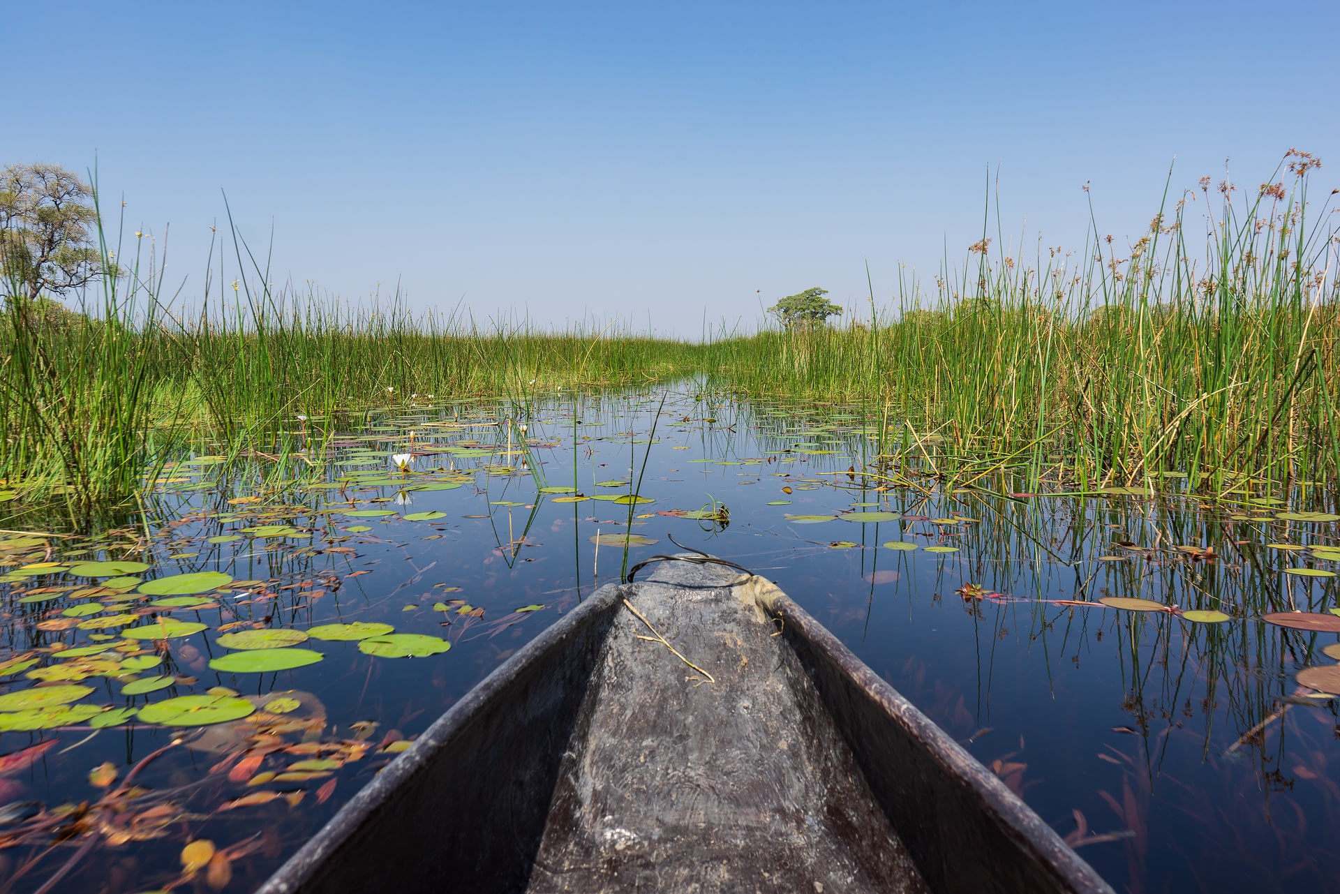 Best places to enjoy canoe safari in Africa